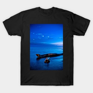 Ashbridges Bay Toronto Canada Sunrise No 2 T-Shirt